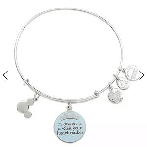 Alex and Ani Disney Parks Cinderella Charm Bangle